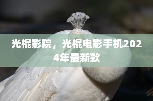 光棍影院，光棍电影手机2024年最新款