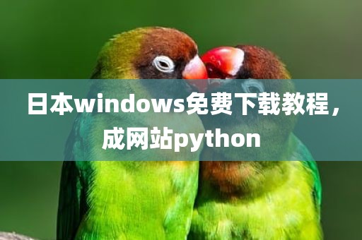 日本windows免费下载教程，成网站python