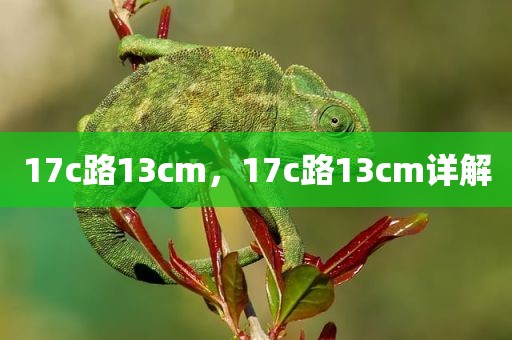17c路13cm，17c路13cm详解