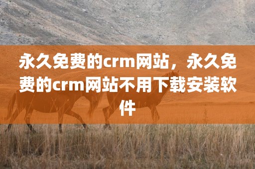 永久免费的crm网站，永久免费的crm网站不用下载安装软件