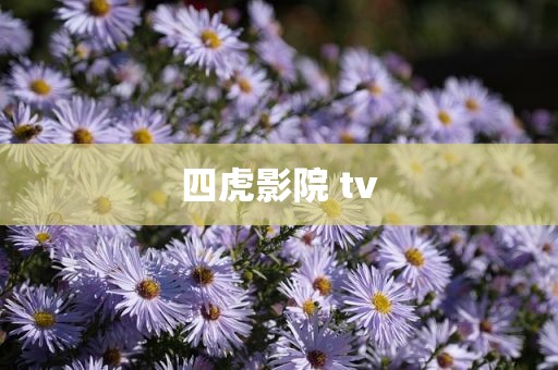 四虎影院 tv