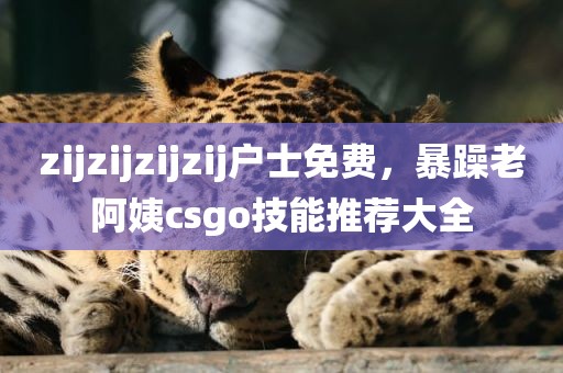 zijzijzijzij户士免费，暴躁老阿姨csgo技能推荐大全
