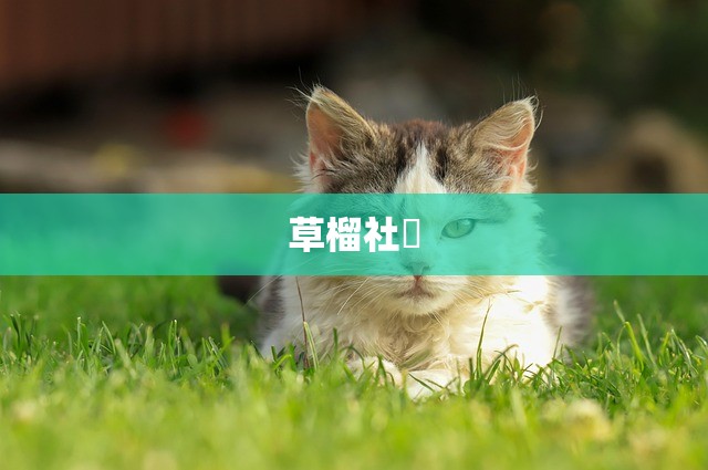 草榴社區