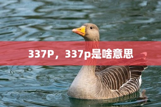 337P，337p是啥意思