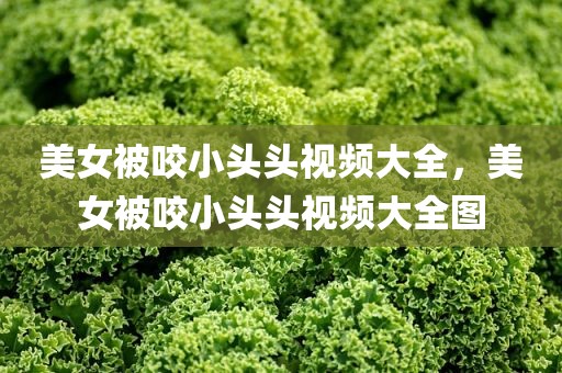 美女被咬小头头视频大全，美女被咬小头头视频大全图