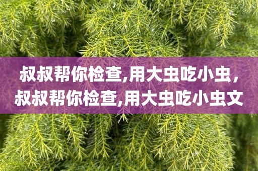 叔叔帮你检查,用大虫吃小虫，叔叔帮你检查,用大虫吃小虫文