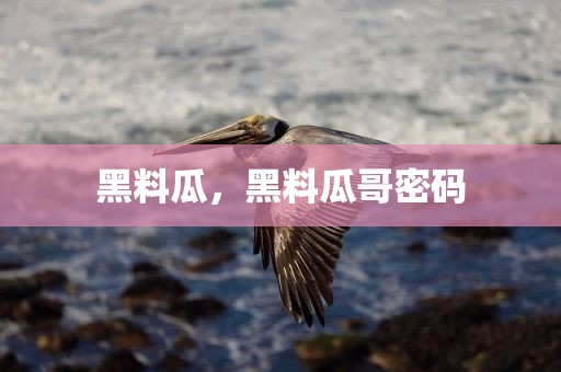 黑料瓜，黑料瓜哥密码