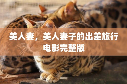 美人妻，美人妻子的出差旅行电影完整版