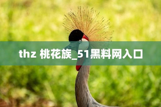 thz 桃花族_51黑料网入口