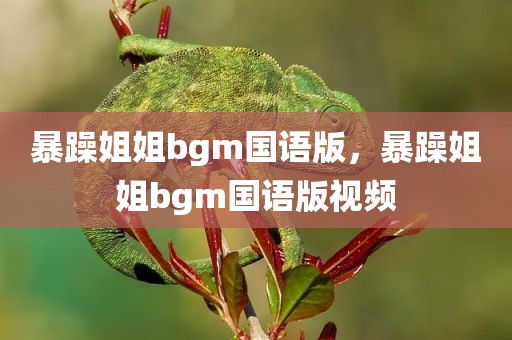 暴躁姐姐bgm国语版，暴躁姐姐bgm国语版视频