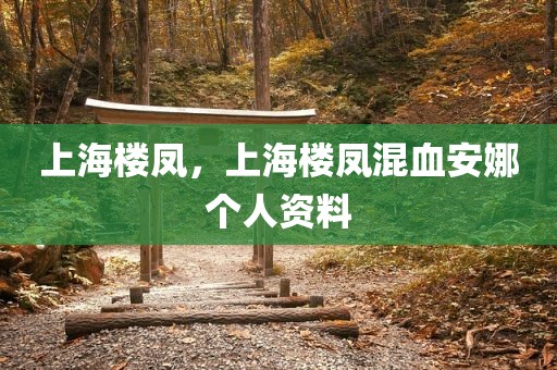 上海楼凤，上海楼凤混血安娜个人资料