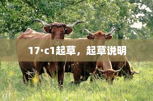 17·c1起草，起草说明