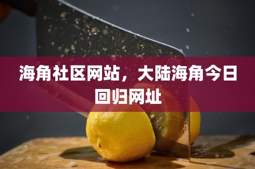 海角社区网站，大陆海角今日回归网址