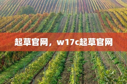 起草官网，w17c起草官网
