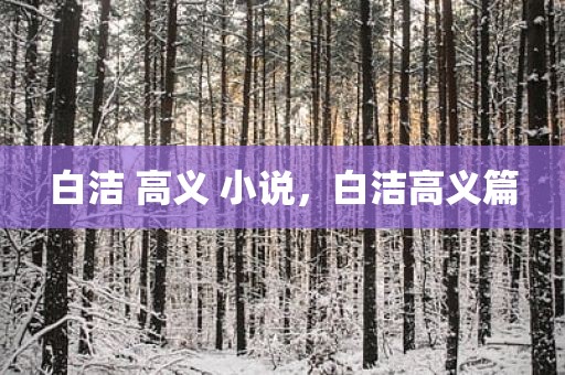 白洁 高义 小说，白洁高义篇