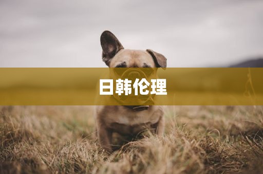 日韩伦理