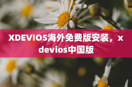 XDEVIOS海外免费版安装，xdevios中国版