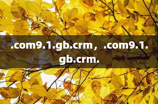 .com9.1.gb.crm，.com9.1.gb.crm.