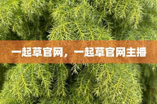 一起草官网，一起草官网主播