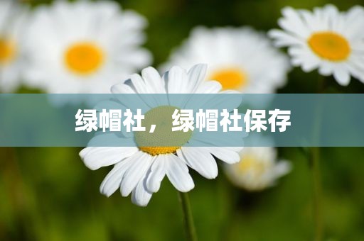 绿帽社，绿帽社保存