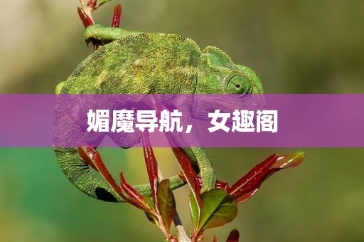 媚魔导航，女趣阁