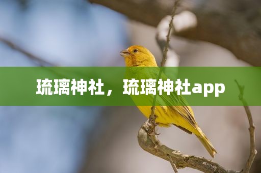 琉璃神社，琉璃神社app