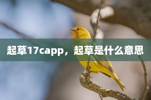 起草17capp，起草是什么意思