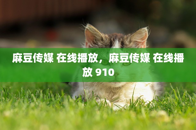 麻豆传媒 在线播放，麻豆传媒 在线播放 910