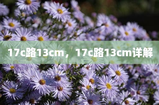 17c路13cm，17c路13cm详解