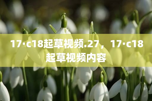 17·c18起草视频.27，17·c18起草视频内容