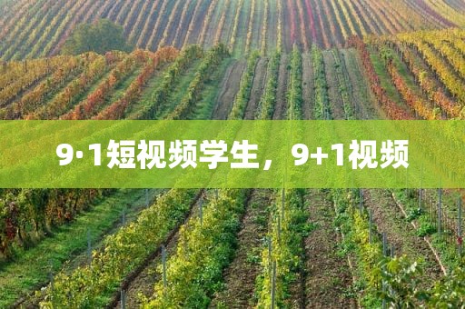 9·1短视频学生，9+1视频