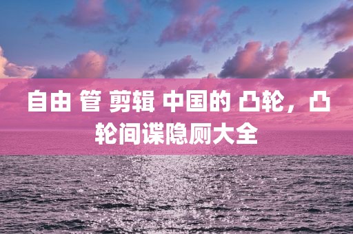 自由 管 剪辑 中国的 凸轮，凸轮间谍隐厕大全