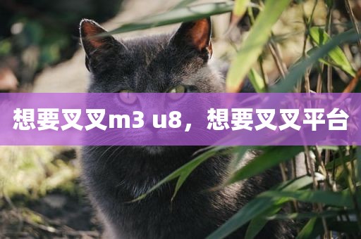想要叉叉m3 u8，想要叉叉平台