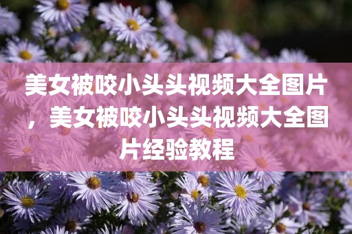 美女被咬小头头视频大全图片，美女被咬小头头视频大全图片经验教程