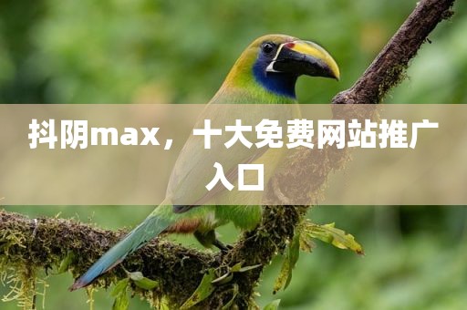 抖阴max，十大免费网站推广入口