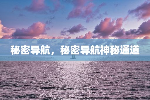 秘密导航，秘密导航神秘通道