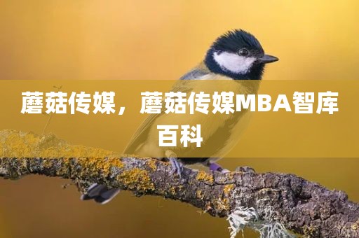 蘑菇传媒，蘑菇传媒MBA智库百科