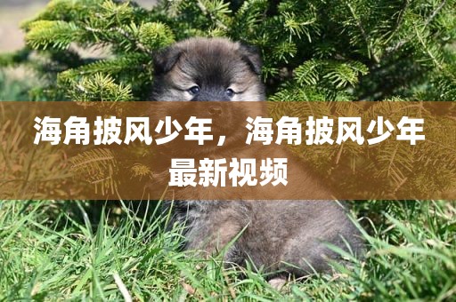 海角披风少年，海角披风少年最新视频