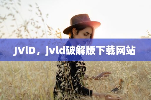 JVlD，jvld破解版下载网站