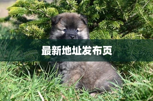 最新地址发布页