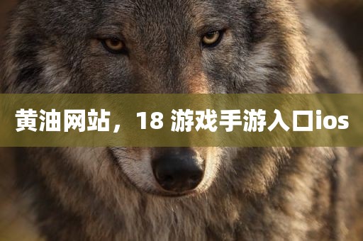 黄油网站，18 游戏手游入口ios