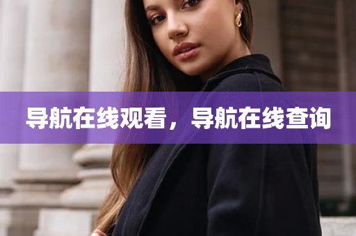 导航在线观看，导航在线查询