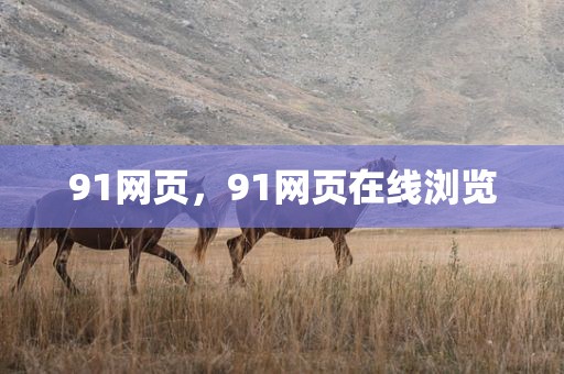 91网页，91网页在线浏览