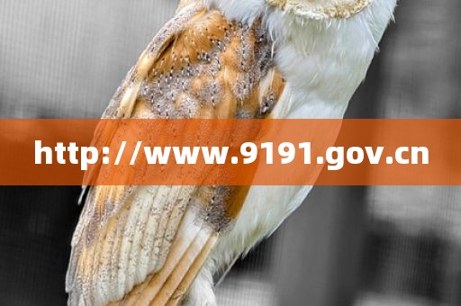 http://www.9191.gov.cn