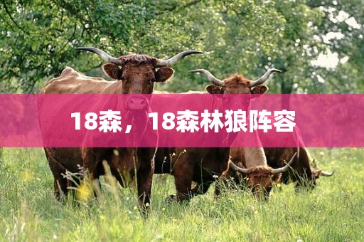 18森，18森林狼阵容