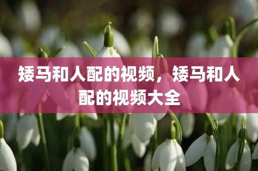 矮马和人配的视频，矮马和人配的视频大全