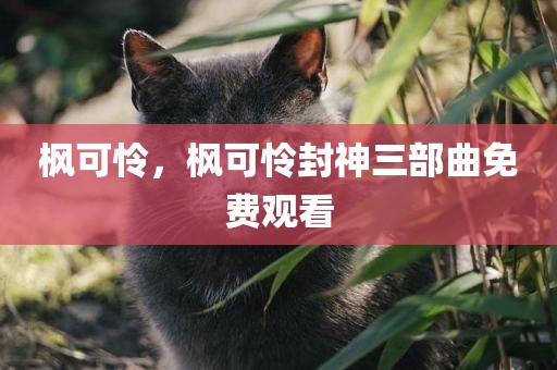 枫可怜，枫可怜封神三部曲免费观看
