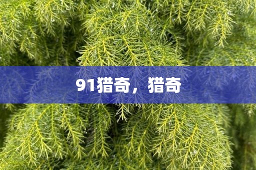 91猎奇，猎奇