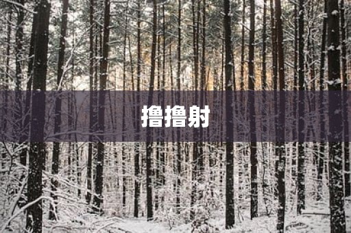 撸撸射
