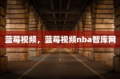 蓝莓视频，蓝莓视频nba智库网